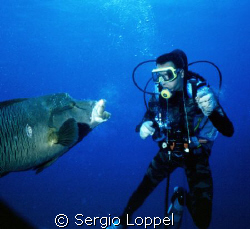 the discussion by Sergio Loppel 